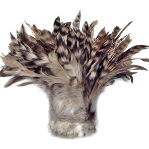 4 Inch Strip Natural Grey Chinchilla Strung Rooster Schlappen Feathers Halloween Costume Craft Supply : 3611 image 4