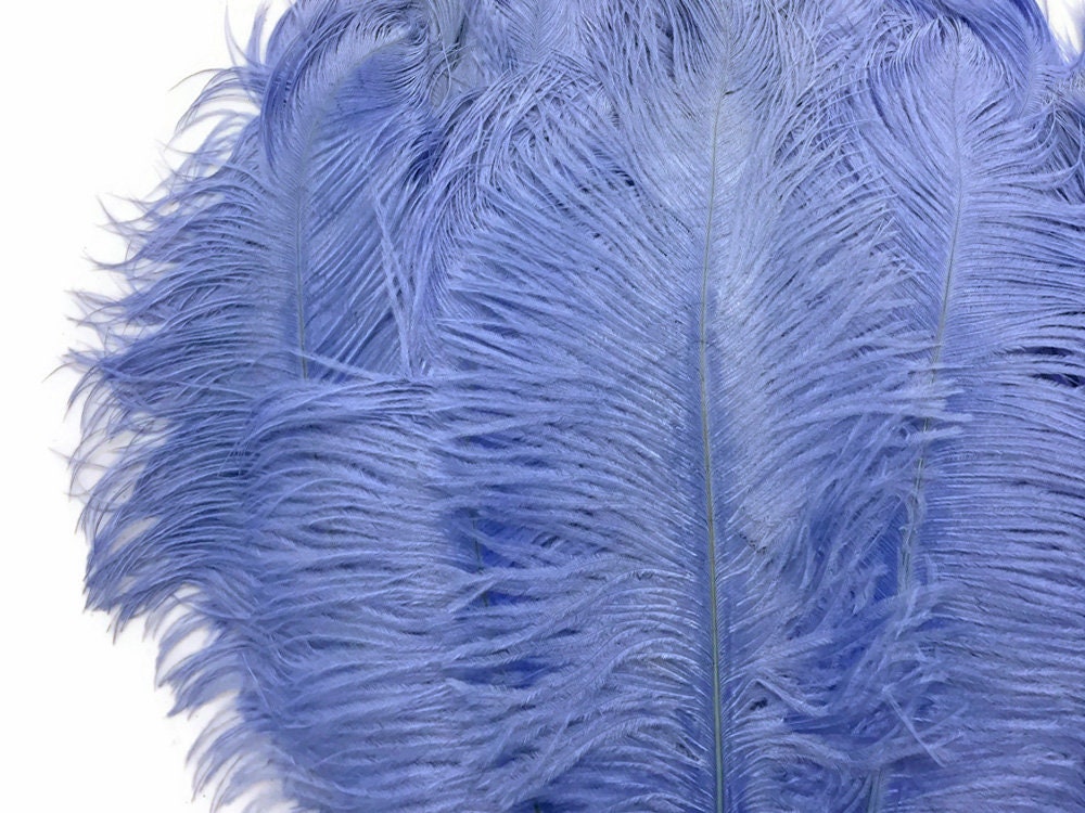 Ostrich Feathers 100 Pieces 810 Light Blue Ostrich Etsy