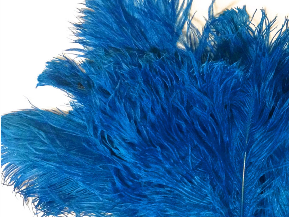 Ostrich Plumes 1/2 Lb 1216 Turquoise Blue Ostrich Etsy