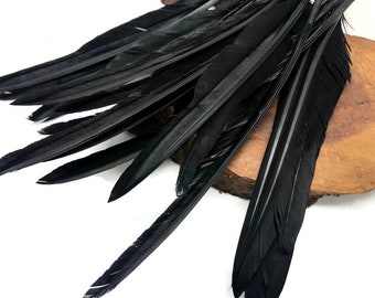 Wing Feathers, 1/4 Lb. - Black Goose Pointers Long Primaries Wing Wholesale Feathers (Bulk) : 4909