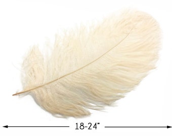 Huge Ostrich Plumes, 10 Pieces - 18-24" Cream Large Prime Grade Ostrich Wing Plume Centerpiece Feathers : 5053