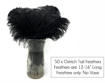 USA Feathers, 50 Pieces - 12-16" Black Ostrich Tail Centerpiece Costume Wholesale Feathers (Bulk) Craft Supply : 5044