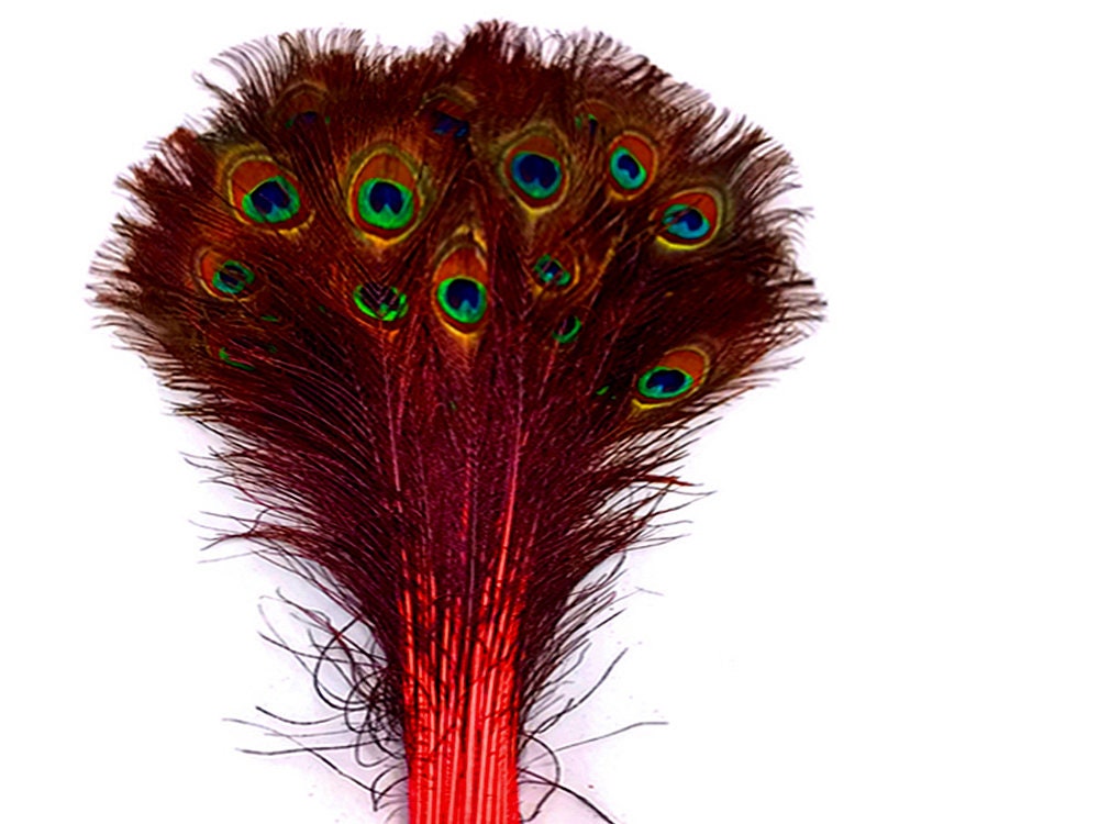 100 Pieces Burgundy Bleached & Dyed Peacock Tail Eye Wholesale Feathers bulk  10-12 Long Halloween Craft Supply : 1306 