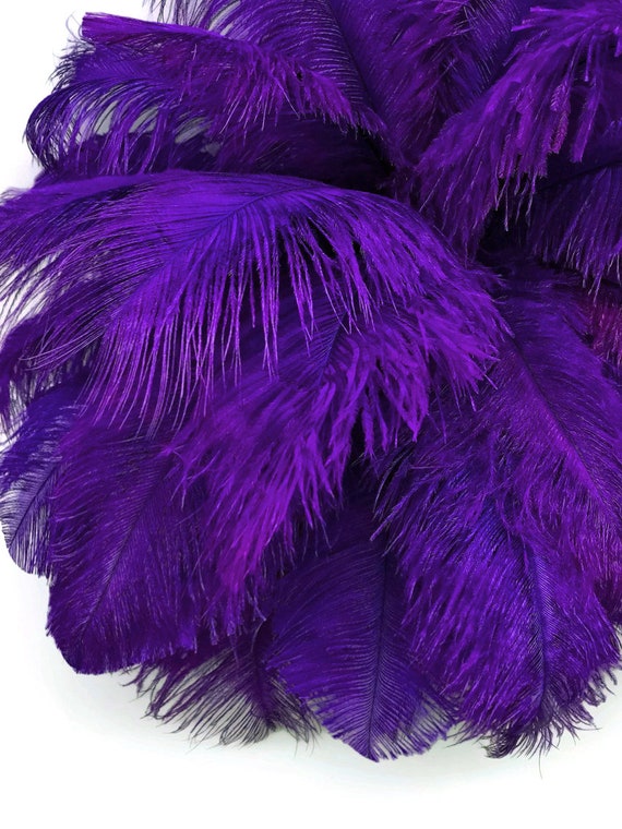 Large Ostrich Feathers, 10 Pieces 19 24 Purple Ostrich Dyed Drabs Body  Feathers Party Centerpiece Costume Supplier : 2254 -  Singapore