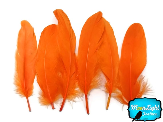 Goose Nagorie Feathers Dyed - Orange
