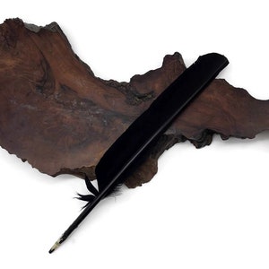 Turkey Quill Feathers, 6 Pieces - Black Turkey Pointers Primary Wing Quill Large Feathers Halloween Costume Cosplays : 3190