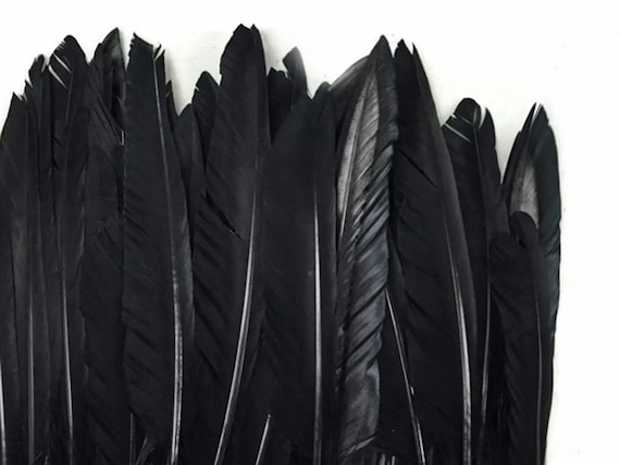 Grandi piume di ala nera, 1 confezione Piume del puntatore dell'ala  primaria dell'anatra tinta nera 0,50 Once. : 3630 -  Italia