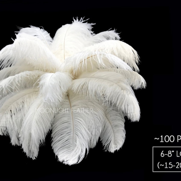 Ostrich Feathers, 100 Pieces - 6-8" Off White Dyed Ostrich Drabs Body Plumage Wholesale Feathers (bulk) : 1424