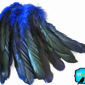 Rooster Feathers, 2.5 Inches NAVY Half Bronze Coque Tail Strung Feathers: 598 image 4