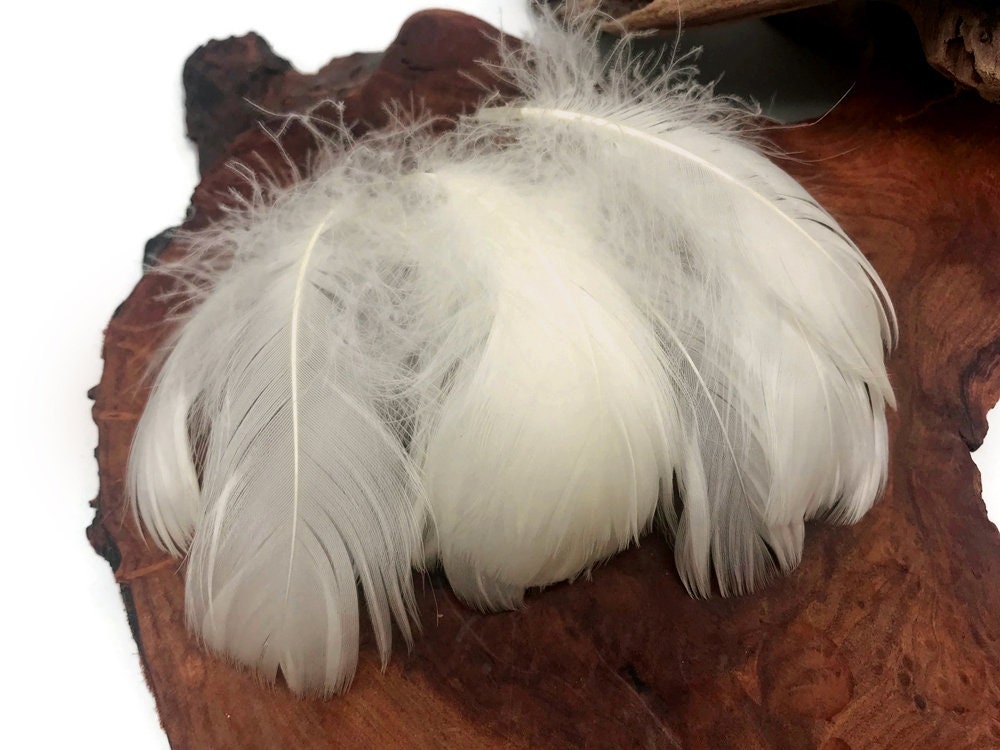 1 Pack - Dyed Brown Duck Primary Wing Pointer Feathers 0.50 Oz. Craft  Halloween Costume Carnival Supply | Moonlight Feather