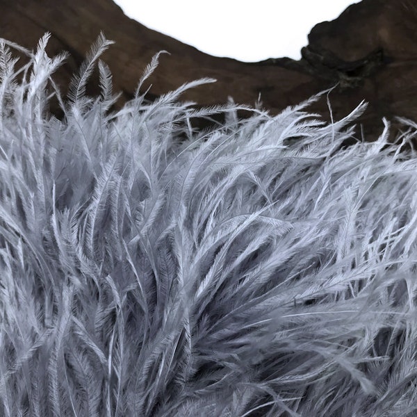 Ostrich Feathers, 6 Inch Strip - Silver Gray Ostrich Fringe Trim Feather Craft DIY Supply : 238