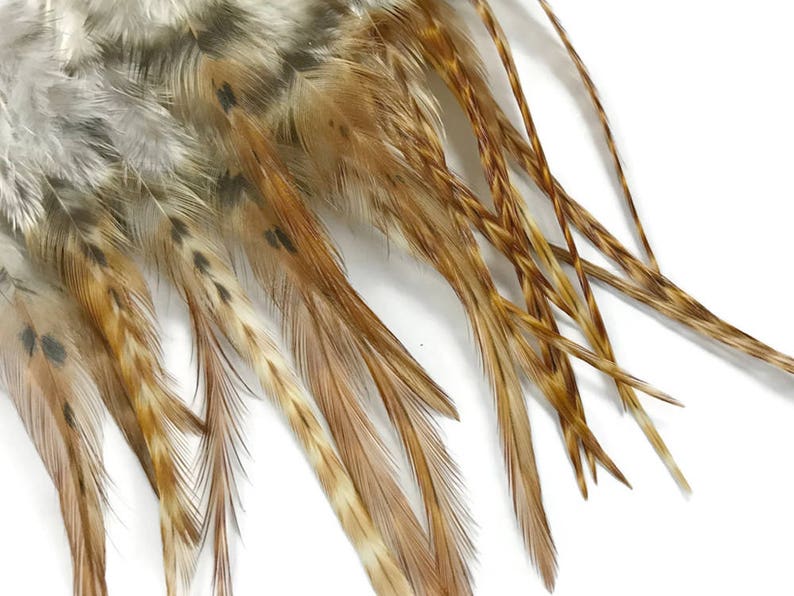 Hair Feathers 1 Dozen Short Bleached Grizzly Rooster Hair Etsy