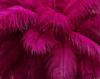 USA Feathers, 10 Pieces - 14-17"  Magenta Ostrich Dyed Drab Large Body Feathers Centerpiece Carnival Supplier : 3532