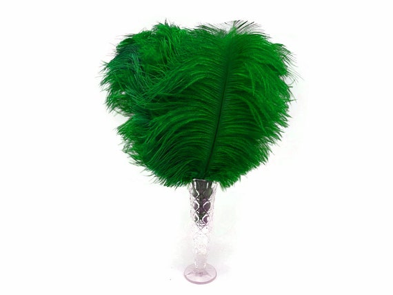 14-Pack Ostrich Feathers, Artificial Feather Plumes for Arts and Crafts,  Faux Bird Plumage Trim for Costume and Outfit Decorations, 12-14-Inch  Quills