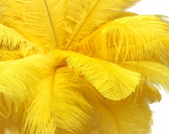 10 Pieces - 11-13" Yellow Bleached & Dyed Ostrich Drabs Body Feathers Centerpiece Wedding Costume Carnival : 1142