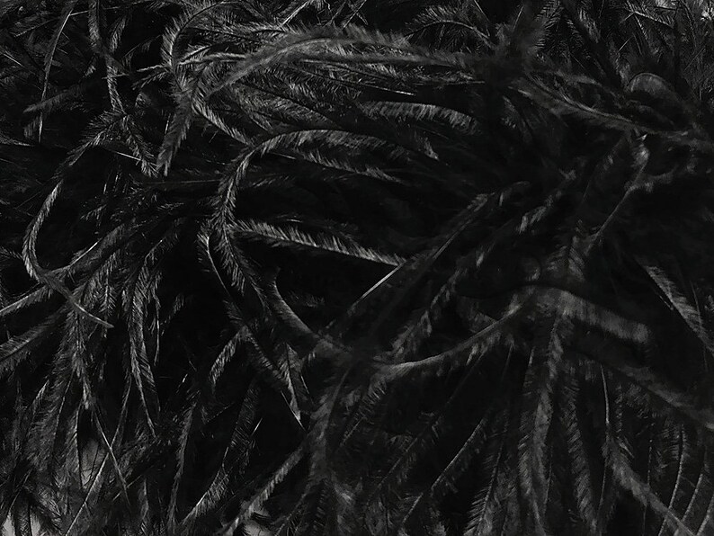 Feather Boa 2 Yards Black 3 Ply Ostrich Feather Medium | Etsy