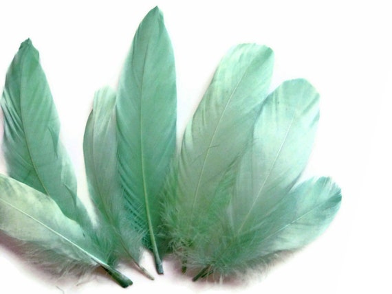 Bulk top goose feathers