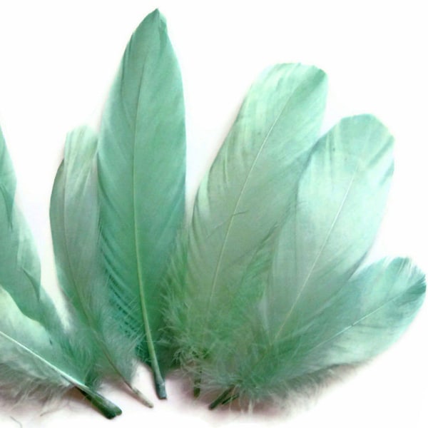 Goose Feathers, 1/4 Lb - Aqua Green Goose Nagoire Wholesale Feathers (Bulk) Wedding Party Craft Supplier : 3757