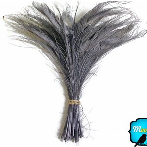 Gray Peacock Feathers, 5 Pieces SILVER GREY BLEACHED Peacock Swords Cut Feathers : 3565 image 2