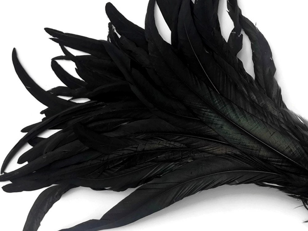 Super Long Feathers 10 Pieces 1618 Natural Black Etsy UK
