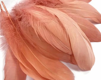 Wedding Feathers, 1 Pack - Champagne Goose Nagoire Loose Feather - 0.25. Oz Craft Supply : 3296