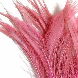 USA SELLER, 5 Pieces - 10-12" Baby Pink Bleached & Dyed Peacock Swords Cut Feathers Wedding Boho Fly Tying Decor Supply : 3563 image 1