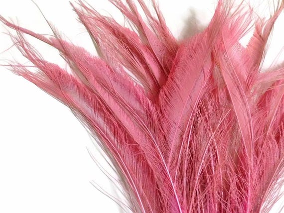 USA SELLER, 5 Pieces - 10-12" Baby Pink Bleached & Dyed Peacock Swords Cut Feathers Wedding Boho Fly Tying Decor Supply : 3563