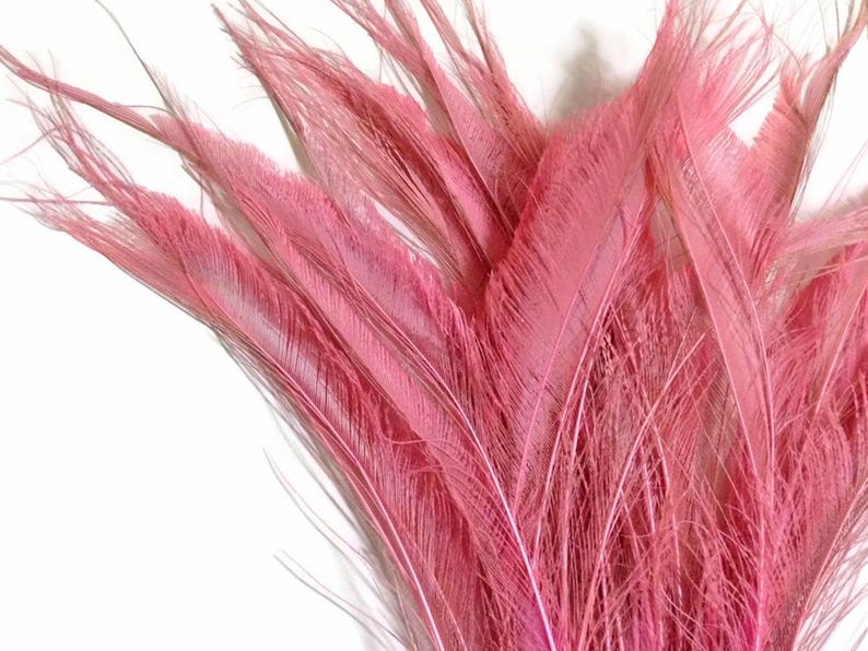 USA SELLER, 5 Pieces - 10-12" Baby Pink Bleached & Dyed Peacock Swords Cut Feathers Wedding Boho Fly Tying Decor Supply : 3563 image 1