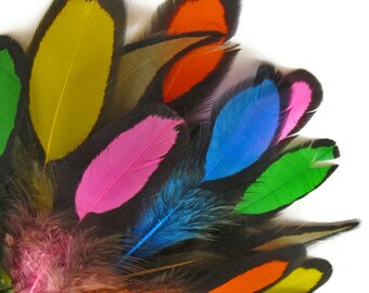 Rainbow Feathers, 1 Dozen - Multi color Whiting Farms Laced Hen Saddle Feathers Craft Supply : 1176