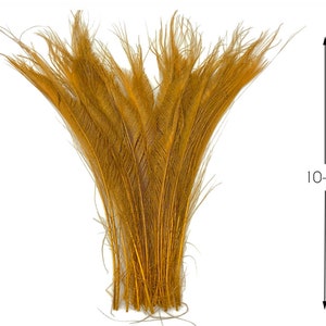 May include: A bunch of 10-12 inch long golden brown ostrich feathers.
