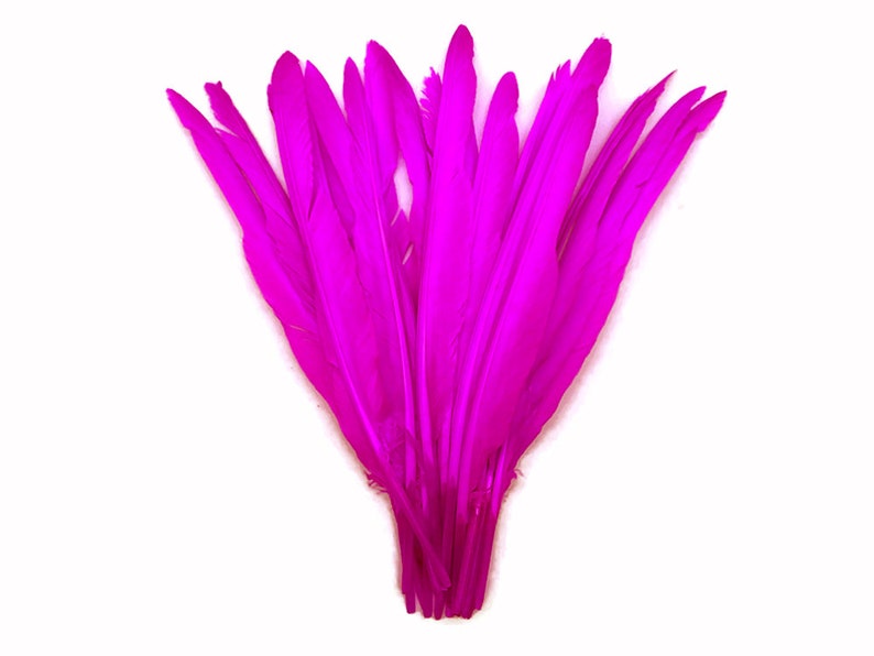 Goose Feathers 10 Pieces Hot Pink Goose Pointers Long - Etsy