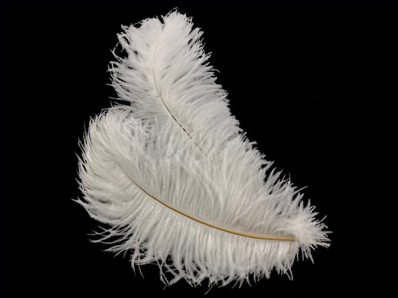  Plumas de avestruz 100 piezas de plumas de avestruz blanco  natural para manualidades, plumas grandes, avestruz, ropa de fiesta, boda,  decoración de centros de mesa (color poste pequeño 17.7-19.7 in) 