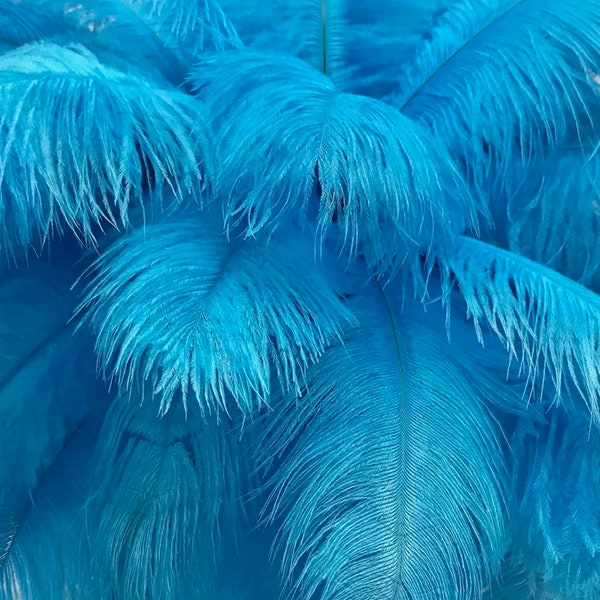 Ostrich Feathers, 10 Pieces - 6-8" Turquoise Blue Ostrich Dyed Drabs Body Plumage Feathers Craft Supplier : 2026