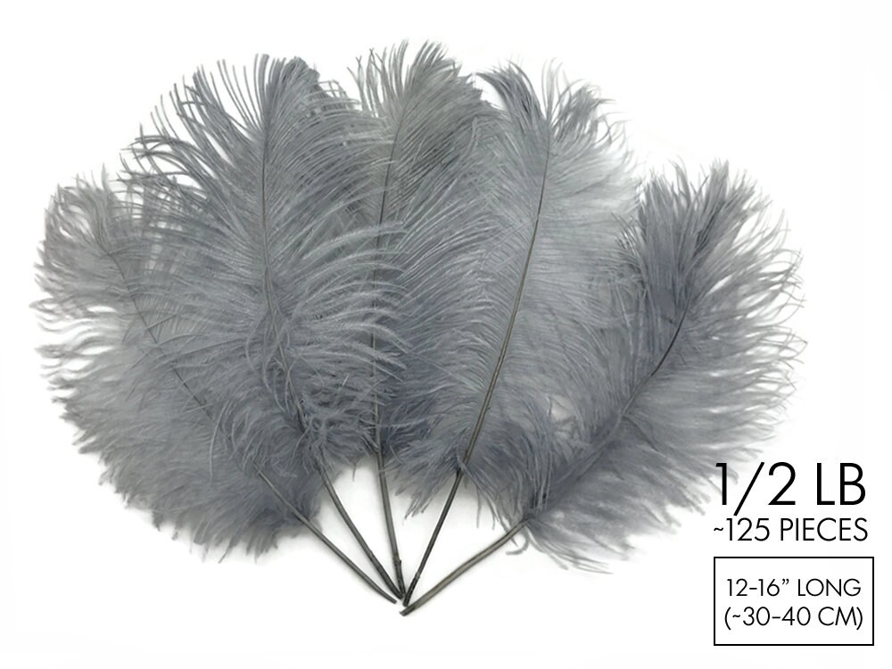 BULK 1/2lb Ostrich Feather Tail Plumes 15-20 (Black) for Sale Online