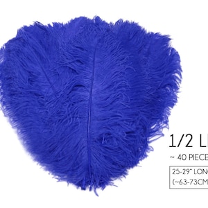 May include: A collection of vibrant blue ostrich feathers. The image includes text indicating the feathers weigh 1/2 lb, with approximately 40 pieces, and are 25-29 inches long (approximately 63-73cm).