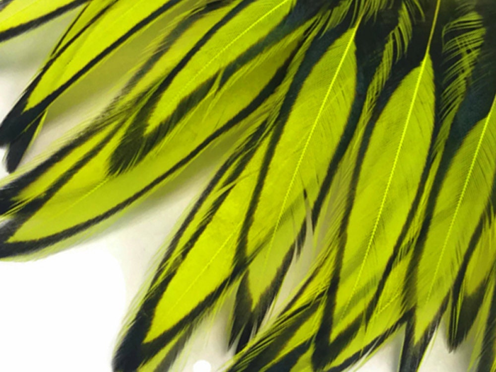 3437 Laced Hen Feathers 1 Dozen Fluorescent Yellow BLW Whiting Laced Hen Cape Loose Feather Fly Tying Fishing Party Supply