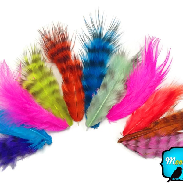 Grizzly Feathers Wholesale Etsy