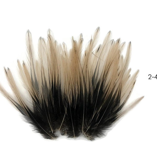 Fuchsia Laced Pointy Feathers, 10 Pieces - Tan Dyed BLW Laced Short Rooster Cape Whiting Farms Feathers Craft Supply : 4877