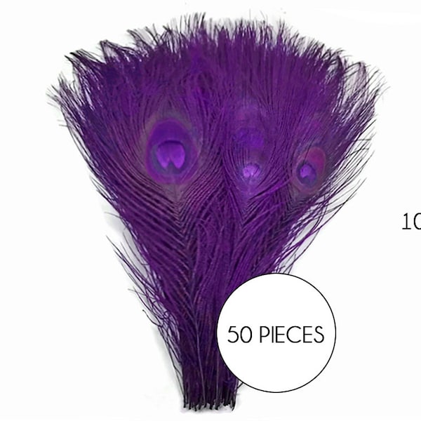 USA SELLER, 50 Pieces – Purple Bleached & Dyed Peacock Tail Eye Wholesale Feathers (Bulk) 10-12” Long Halloween Wedding Craft Supply : 1296