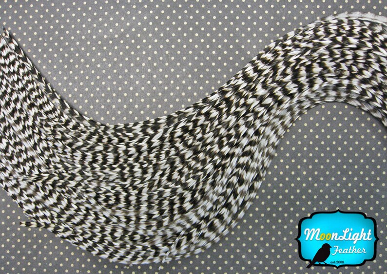 Extra Long Hair Feathers 6 Pieces XL NATURAL THIN Grizzly Etsy