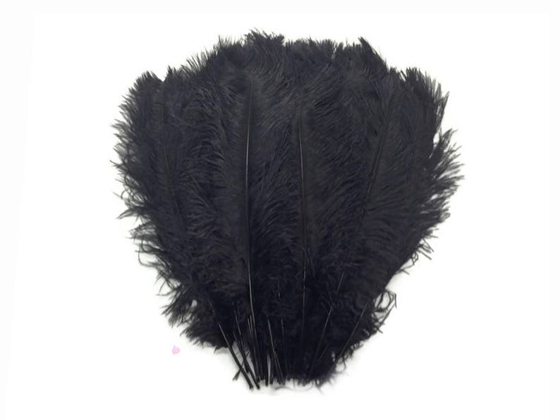 Large Ostrich Feathers 125 Pieces 1417 BLACK Ostrich Etsy