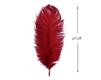 Ostrich Feathers, 10 Pieces - 17-19" Burgundy Large Bleached & Dyed Ostrich Drabs Body Feathers Halloween Costume : 3687