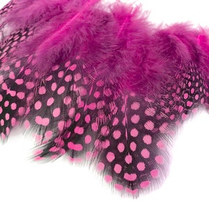 Guinea Feathers, 1 Pack - Candy Pink Guinea Hen Polka Dot Plumage Feathers 0.10 Oz. Craft Supply : 232