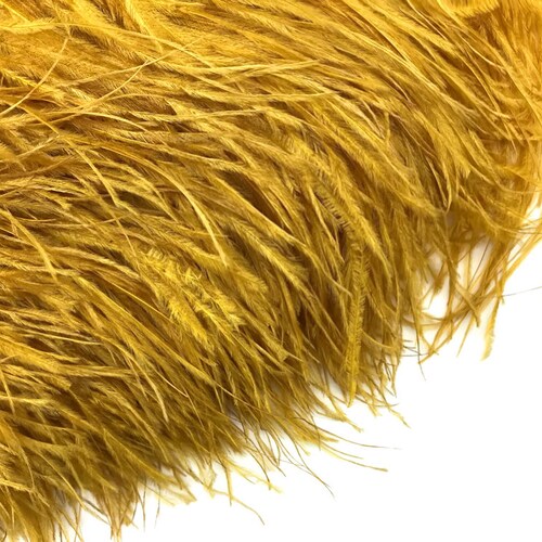 Ostrich shops Fringe Feathers, 10 Yards - Antique Gold Ostrich Fringe Trim Wholesale Feather (bulk) Craft Supply : 4530