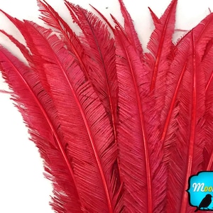 Costume Feathers, 5 Pieces - RED Long Ostrich Nandu Trimmed Feathers : 3954