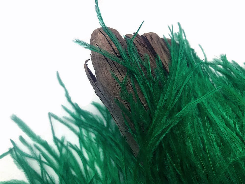 Hunter Green Ostrich Feather Trims FRINGE Bulk Cheap Discount Crafts Sew on  Ostrich Feathers
