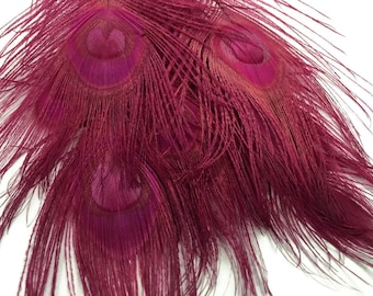 5 Pieces – Burgundy Bleached & Dyed Peacock Tail Eye Feathers 10-12” Long Halloween Craft Supply : 268