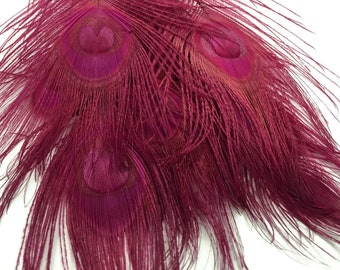 5 Pieces – Burgundy Bleached & Dyed Peacock Tail Eye Feathers 10-12” Long Halloween Craft Supply : 268