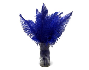 Ostrich Feathers, 10 pieces - 20-28" Royal Blue Ostrich Feather Spads Craft Wedding Centerpiece Supply : 5052