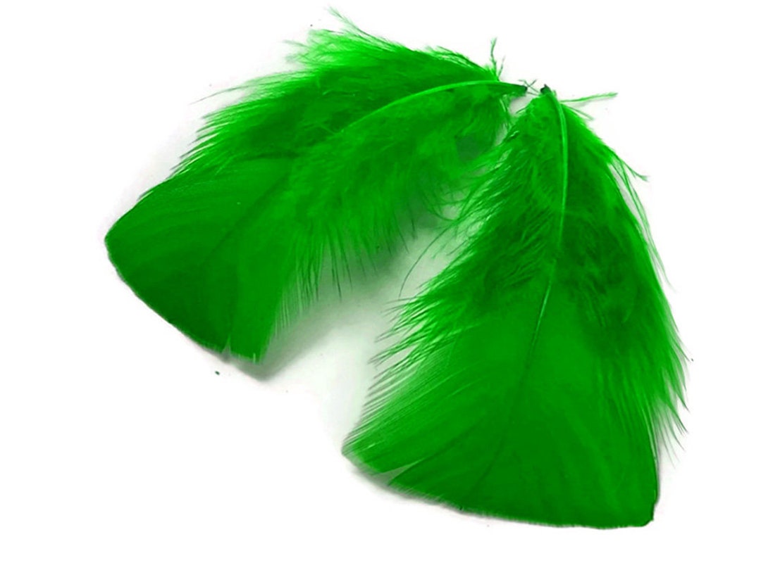 Plumas Pequeñas de Turquía, 1 Paquete Kelly Green Turkey T-Base Plumage ...